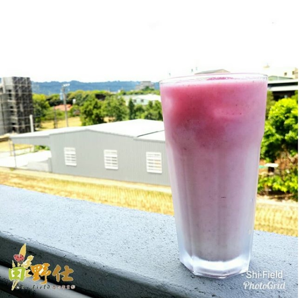 田野仕農場剪影