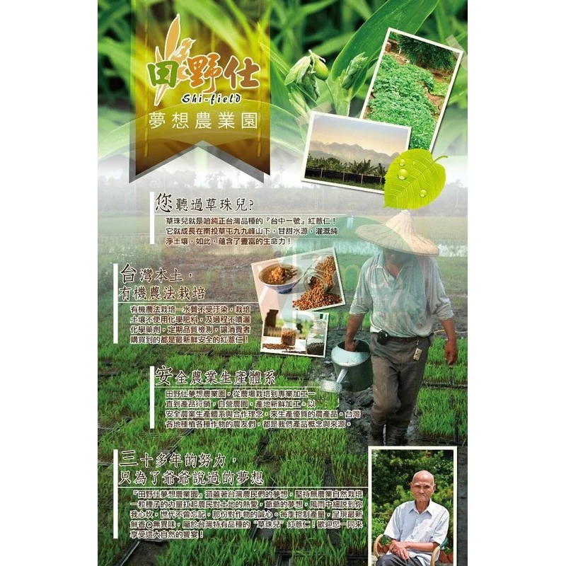 【田野仕】紅薏仁白鶴靈芝茶 圖4